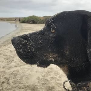 Meet your Posher, Jodi